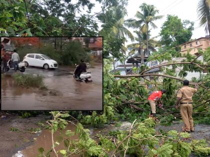 Heavy rains occurred in Kolhapur city, trees fell due to wind | कोल्हापूरला वळवाचा दणका, वाऱ्यामुळे झाडांची पडझड; रस्त्यावर पाणीच पाणी झाल्याने वाहतुकीची कोंडी Heavy rains occurred in Kolhapur city, trees fell due to wind | कोल्हापूरला वळवाचा दणका, वाऱ्यामुळे झाडांची पडझड; रस्त्यावर पाणीच पाणी झाल्याने वाहतुकीची कोंडी