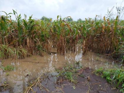 2192 crore distributed to farmers affected by heavy rains and floods | अतिवृष्टी, पुराचा फटका बसेलल्या शेतकऱ्यांना २,१९२ कोटींचा निधी वितरित