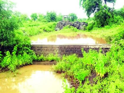 Mung, udid crop became mud due to heavy rain in Naygaon | आभाळ फाटलं; ढगफुटी सदृश्य पावसाने मूग, उडीदाचा झाला चिखल, हातचे पिक गेलं