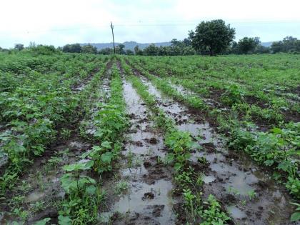 Record of excess rainfall in the 8 revenue board in Nanded district | नांदेड जिल्ह्यात 8 महसूल मंडळात अतिवृष्टीची नोंद 