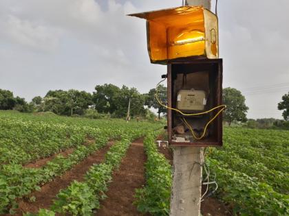 Domestic halogen traps to prevent bollworm | बोंडअळीला रोखण्यासाठी घरगुती हॅलोजन सापळा