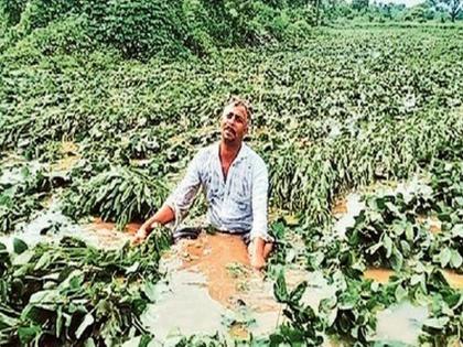 Water is water... damage is damage..., heavy rains in the state, 2600 villages in Marathwada hit by heavy rains, Vidarbha also hit, continuous rains in Konkan | पाणीच पाणी... हानीच हानी..., राज्यात पावसाचे धुमशान, मराठवाड्यात २६०० गावांना अतिवृष्टीचा तडाखा, विदर्भातही फटका, कोकणात संततधार Water is water... damage is damage..., heavy rains in the state, 2600 villages in Marathwada hit by heavy rains, Vidarbha also hit, continuous rains in Konkan | पाणीच पाणी... हानीच हानी..., राज्यात पावसाचे धुमशान, मराठवाड्यात २६०० गावांना अतिवृष्टीचा तडाखा, विदर्भातही फटका, कोकणात संततधार