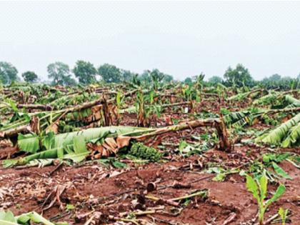 Awkal on farmers, huge loss of agriculture in the state | शेतकऱ्यांवर अवकाळ, राज्यात शेतीचं प्रचंड नुकसान