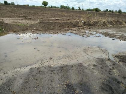 The highest rainfall in the Purna Mandal of Parbhani district, 78 mm rainfall | परभणी जिल्ह्यातील पूर्णा मंडळात अतिवृष्टी,78 मी मी पावसाची नोंद