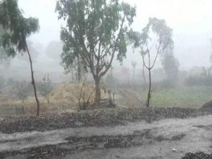 Rain accompanied by gale force in Sangli district | सांगली जिल्ह्याला वादळी वाऱ्यासह मुसळधार पावसाने झोडपले