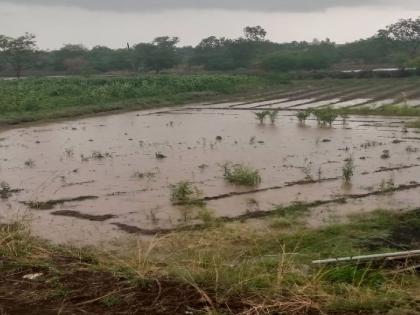 Pre monsoon rains in Satara district; Water accumulated in the forest | सातारा जिल्ह्यात मान्सून पूर्व पाऊस; रानात पाणी साठले! 