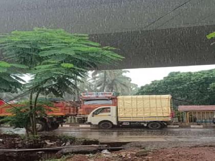 Heavy rains in Sindhudurg | rain in Sindhudurg: सिंधुदुर्गात पावसाची दमदार हजेरी