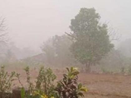 the force of rain subsided In Sindhudurg, stormy winds blew | सिंधुदुर्गात पावसाचा जोर ओसरला, वादळी वारे सुसाट; ठिकठिकाणी पडझडीचे सत्र सुरूच