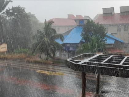 Heavy rain with thunder in Sindhudurg | सिंधुदुर्गात गडगडाटासह मुसळधार पाऊस, शेतकऱ्यांची तारांबळ 