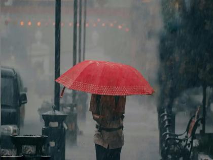 In Maharashtra Red alert 2 districts and orange alert for 6 districts for the next 24 hours Rain; 8 people died due to lightning | पुढील २४ तासांसाठी 'या' जिल्ह्यांना रेड तर ६ जिल्ह्यांना ऑरेंज अलर्ट; वीज पडून ८ जण दगावले In Maharashtra Red alert 2 districts and orange alert for 6 districts for the next 24 hours Rain; 8 people died due to lightning | पुढील २४ तासांसाठी 'या' जिल्ह्यांना रेड तर ६ जिल्ह्यांना ऑरेंज अलर्ट; वीज पडून ८ जण दगावले