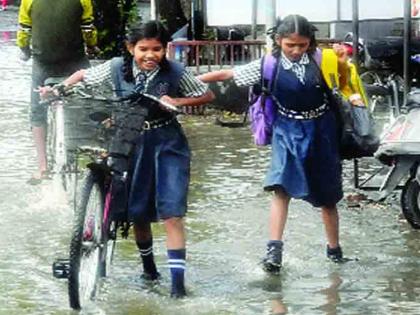 Traffic stopped due to falling trees in the road | रस्त्यात झाडे पडल्याने वाहतूक बंद