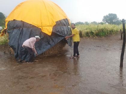 loss of farmers due to sudden rains in nashik | नाशिक: अचानक आलेल्या पावसामुळे शेतकऱ्यांचे नुकसान 