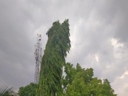 Unseasonal rain with strong winds | शहरात वादळी वाऱ्यासह अवकाळी पाऊस