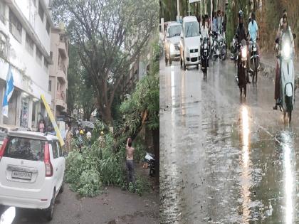 Rain accompanied by thunder in the district including Kolhapur city | कोल्हापूर जिल्ह्यात मेघगर्जनेसह पाऊस, मान्सून ५ जूनपर्यंत सक्रिय होणार Rain accompanied by thunder in the district including Kolhapur city | कोल्हापूर जिल्ह्यात मेघगर्जनेसह पाऊस, मान्सून ५ जूनपर्यंत सक्रिय होणार