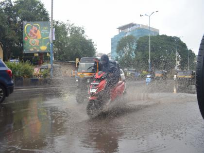 rest rain in maharashtra rain will increase in Vidarbha while rest in Pune | Maharashtra Rain: राज्यात हलक्या सरी; विदर्भात पावसाचा जोर वाढणार, तर पुण्यात विश्रांती