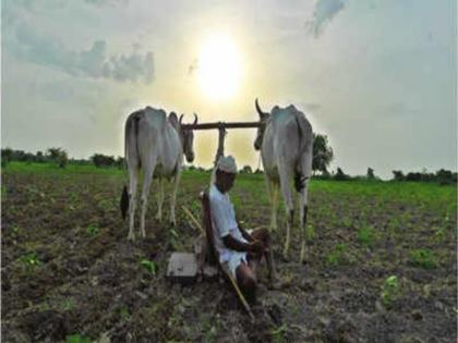 76.8 percent rain in the state: Agriculture Department | राज्यात सरासरीच्या ७६.८ टक्के पाऊस : कृषी विभाग 