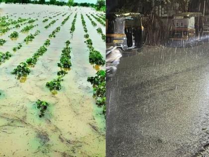 Maharashtra Rain: What is the real reason behind unseasonal rain in the maharashtra?,Lets Know! | Maharashtra Rain: राज्यात अवकाळी पाऊस पडण्यामागील नेमकं कारण काय?, जाणून घ्या!