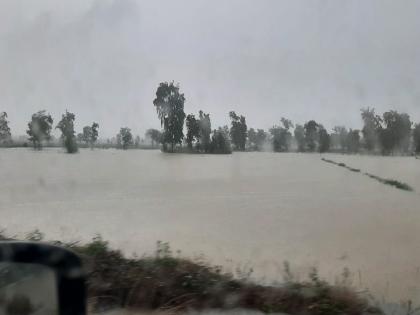 After almost a month of waiting Heavy rains in five talukas, rivers flooded | तब्बल महिनाभराच्या प्रतीक्षेनंतर बरसला धो धो; पाच तालुक्यांत अतिवृष्टी, नदी नाल्यांना पूर 