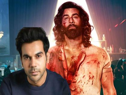 Rajkumar Rao reacts on Animal Movie comapres it with Devdas movie | "काही सीन्स खटकले पण...", राजकुमार रावचं 'अ‍ॅनिमल'वर भाष्य; चाहत्यांनाच दिला सल्ला