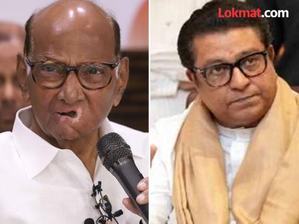 Maharashtra Assembly Elections 2024 Raj Thackeray replied to Sharad Pawar on the debate over casteism | शरद पवार म्हणाले जातीवाद केल्याचे उदाहरण द्या; राज ठाकरेंनी भुजबळांच नाव घेत म्हटलं, "पुणेरी पगडी..."