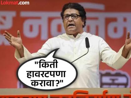 Many Leaders of Maharashtra have 5000 acres of land, Raj Thackeray got angry | "काही राजकारण्यांकडे ५-५ हजार एकर जमिनी, ना#डा फिरतो की काय त्याच्यावर अख्खा?"; राज ठाकरे संतापले