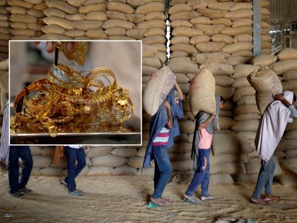 पत्नीने गव्हाच्या पोत्यात 15 लाखांचे दागिने लपवले; शेतकरी पतीने तेच पोते व्यापाऱ्याला विकले, मग...