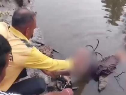 Finally, it was the mother! She threw herself at him and rescued the girl from the crocodile's jaws, but... | शेवटी आईच ती! स्वत:ला झोकून दिले आणि लेकीला मगरीच्या जबड्यातून सोडवले, पण... Finally, it was the mother! She threw herself at him and rescued the girl from the crocodile's jaws, but... | शेवटी आईच ती! स्वत:ला झोकून दिले आणि लेकीला मगरीच्या जबड्यातून सोडवले, पण...
