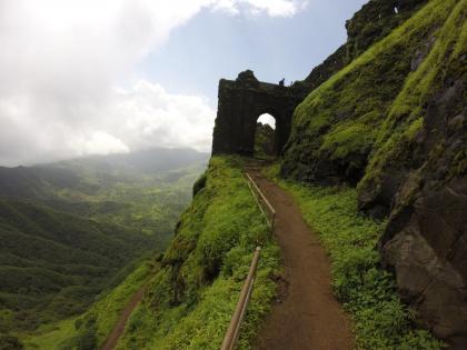 Bee attack on Rajgad; 25 to 30 tourists were injured, three were saved due to timely help | Rajgad Fort: राजगडावर मधमाशांचा हल्ला; २५ ते ३० पर्यटक जखमी, वेळीच मदत मिळल्याने तिघांचे वाचले प्राण