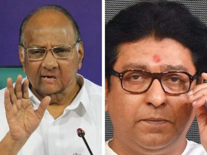 Sharad Pawar: "Raj Thackeray doesn't need to be taken too seriously"; says Sharad Pawar | Sharad Pawar: "राज ठाकरेंना जास्त गांभीर्याने घेण्याची गरज नाही"; शरद पवारांचे प्रत्युत्तर