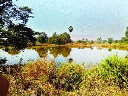 Do the repairs first, then release the water in the canal | आधी दुरुस्ती करा मगच कालव्यात पाणी सोडा