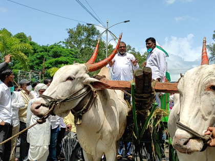 Let's put the load on the buffalo's neck on your back: Raju Shetty | म्हशीच्या गळ्यातला लोडना तुमच्या पाठीत घालू : राजू शेट्टी