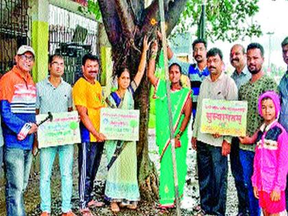 Rakshabandhan took oath of tree conservation | वृक्ष संवर्धनाची शपथ घेत साजरे केले रक्षाबंधन