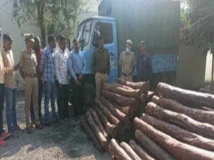 Pushpa style sandalwood smuggling, 2 crore 45 lakh sandalwood seized; Miraj police and forest department action | 'पुष्पा स्टाईल' रक्तचंदनाची तस्करी, २ कोटी ४५ लाखांचे रक्तचंदन जप्त; मिरजेत पोलीस आणि वन विभागाची कारवाई