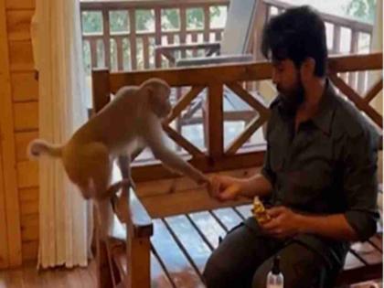 VIDEO : Ram Charan wins fans hearts by showing kindness on monkey on hanuman jayanti | राम चरणने आपल्या दिलदारपणाने जिंकलं फॅन्सचं मन, माकडासोबतचा अभिनेत्याचा व्हिडीओ व्हायरल