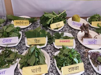 Global import-export through agriculture says Deputy Collector Nishatai Kamble | कृषी माध्यमातून जागतिकस्तरावर आयात-निर्यात : उपजिल्हाधिकारी कांबळे