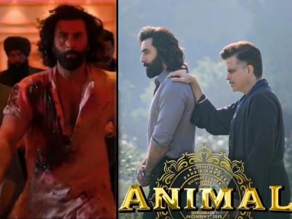 animal box office collection day 7 ranbir kapoor rashmika mandanna anil kapoor bobby deol movie | Animal : 'ॲनिमल' बॉक्स ऑफिसवर सुसाट! रणबीरच्या सिनेमाने ७व्या दिवशी किंग खानच्या 'जवान' आणि 'पठाण'लाही टाकलं मागे