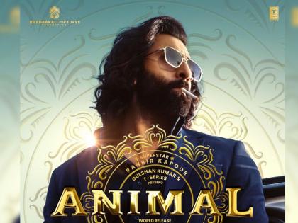 ranbir kapoor animal movie advance booking 1100 tickets sold in usa | रणबीर कपूरच्या 'अ‍ॅनिमल'ची विदेशातही क्रेझ, प्रदर्शनाआधीच अ‍ॅडव्हान्स बुकिंगमधून हजारो तिकिटांची विक्री