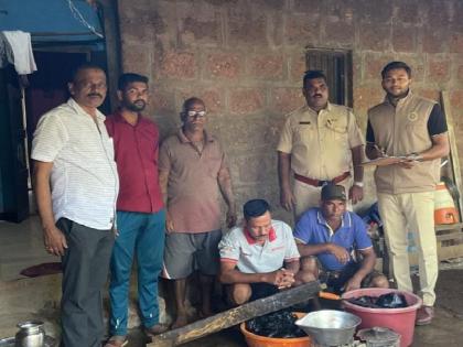 Two people from Fondaghat who were selling wild boar meat have been arrested | Sindhudurg: रानडुकराच्या मासांची विक्री करणारे फोंडाघाट येथील दोघेजण ताब्यात