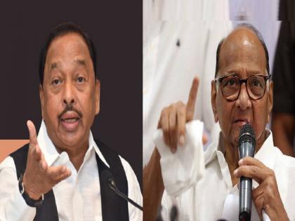 Who is Sanjay Raut? I don't know them, Union Minister Narayan Rane reaction to Sanjay Raut damages claim | शरद पवार आता भूकंप करू शकत नाहीत - केंद्रीय मंत्री नारायण राणे