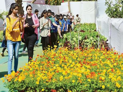 Miyawaki tree plant to increase oxygen; Exhibition of 25th tree, flowers, fruits, vegetables started in the garden | ऑक्सिजन वाढविण्यासाठी मियावाकी वृक्षलागवड; राणीच्या बागेत २५ व्या झाडे, फुले, फळे, भाज्यांचे प्रदर्शन सुरू