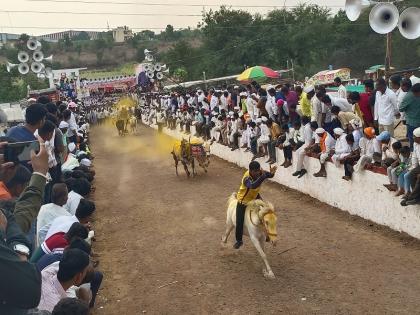 392 bullock carts ran in Ranjangaon Yatra; Prizes worth lakhs to the winning bullock cart owners | Pune | रांजणगावच्या यात्रेत धावले ३९२ बैलगाडे; विजेत्या बैलगाडा मालकांना लाखोंची बक्षिसे