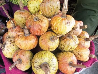 At the Gawran Fruit Market, juicy Ramphal ginger; Now waiting for Hanumanphala | गावरान मेवा बाजारात, रसाळ रामफळ आले; आता प्रतीक्षा हनुमानफळाची