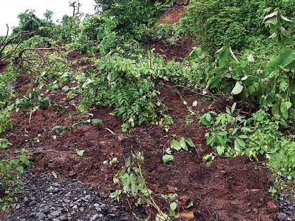 Landslide in Ransai tribal area; Closed for road traffic | रानसई आदिवासीवाडीमध्ये भूस्खलन; रोड वाहतुकीसाठी बंद