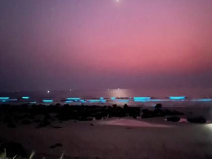 Amazing! The beach of Ganapatipule again sparkled with blue waves | विलोभनीय! गणपतीपुळेचा समुद्रकिनारा पुन्हा निळ्या लाटांनी चमकला