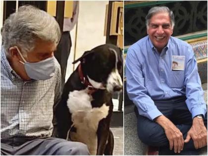 Be a good boy Ratan Tata instructed his furry friend Goa when an interviewer who was afraid of dogs went to meet him shared story linkedin | बी अ गुड बॉय! मुलाखतकार घाबरल्याचं पाहून Ratan Tata यांनी श्वानाला प्रेमानं समजावलं; अन् मग...