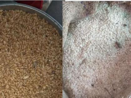 Government grain is black marketed | सरकारी धान्याची होतेय काळाबाजारी : रेशन दुकानात येते निकृष्ट धान्य