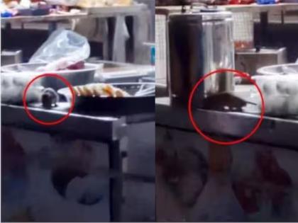 rats found on food stall of irctc in madhya pradesh video viral railway responds | धक्कादायक! IRCTC फूड स्टॉलवर उंदरांचा सुळसुळाट; व्हायरल Video वर रेल्वेने दिलं उत्तर