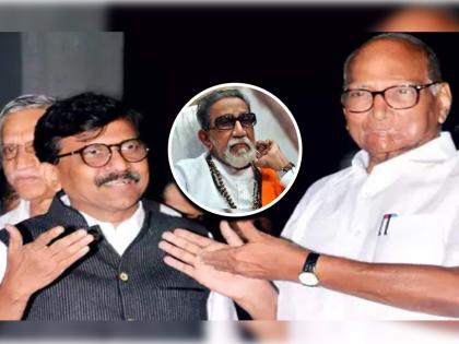 ncp leader amol mitkari support shiv sena sanjay raut after ed action and slams bjp | Maharashtra Political Crisis: “बाळासाहेबांचा सच्चा शिवसैनिक दिल्लीसमोर झुकला नाही याचा अभिमान आहे”