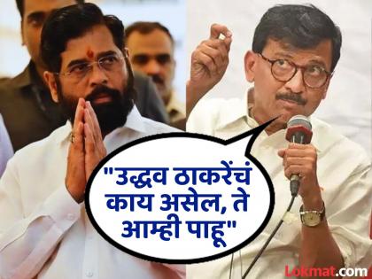 Sanjay Raut warned Eknath Shinde to be careful while talking about Thackeray | "मिस्टर शिंदे, ठाकरेंवर बोलताना हे विसरू नका", 'त्या' ट्विटवरून राऊत भडकले