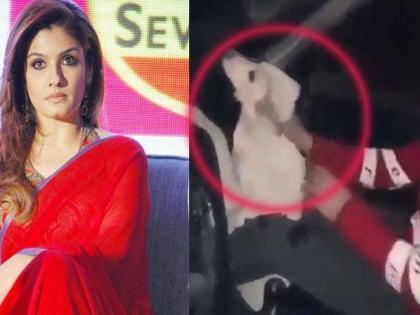 'Such human beings rapists'; Raveena Raveena's anger on the video of the dogs | 'अशी माणसं बलात्कारी'; कुत्र्याला केलेल्या मारहाणीच्या व्हिडीओवर रवीनाचा संताप